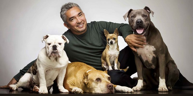 cesar-millan